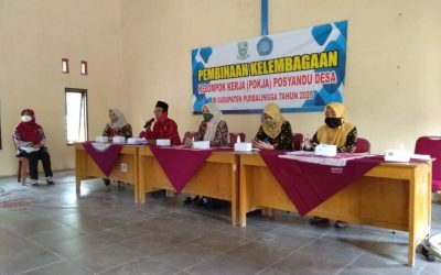Pembinaan Kelembagaan Pokja Posyandu