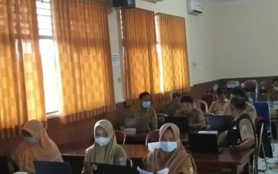 Kegiatan Penyusunan Profil Desa/Kelurahan